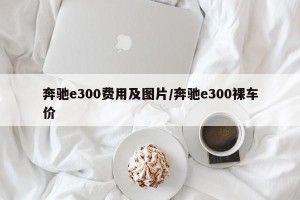 奔驰e300费用及图片/奔驰e300裸车价