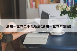 沧州一世界二手毛坯房(沧州一世界户型图)