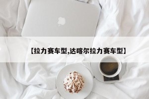 【拉力赛车型,达喀尔拉力赛车型】